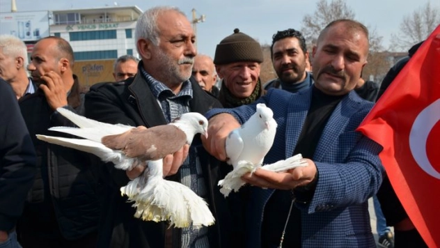 Güvercinler Mehmetcik için uçtu