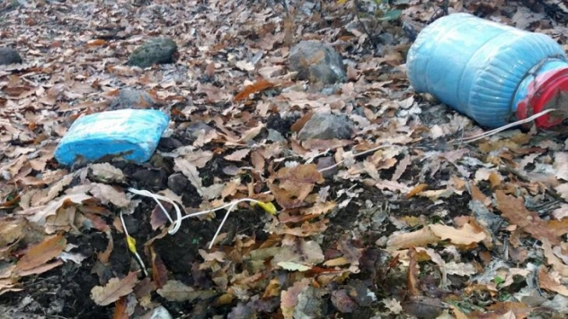 Tunceli'de terör operasyonu