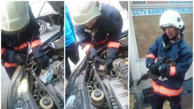 Otomobilin motor kısmına sıkışan kedi kurtarıldı