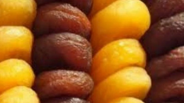 Gün kurusu kayısı 11,75 liradan işlem gördü