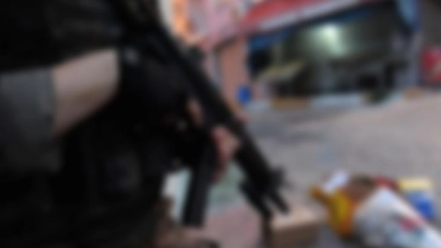 Muş'ta terör operasyonu