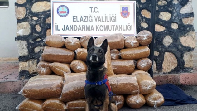 Elazığ'da kayıt dışı 300 kilogram tütün geçirildi