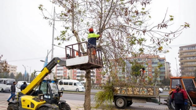 Park ve Bahçeler ekipleri titizlikle çalışıyor
