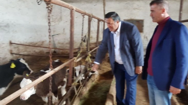 Gürer, ''Buzağı ölümleri önlense Türkiye'de et sorunu kalmaz''