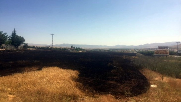 Elazığ'da buğday tarlasında yangın 