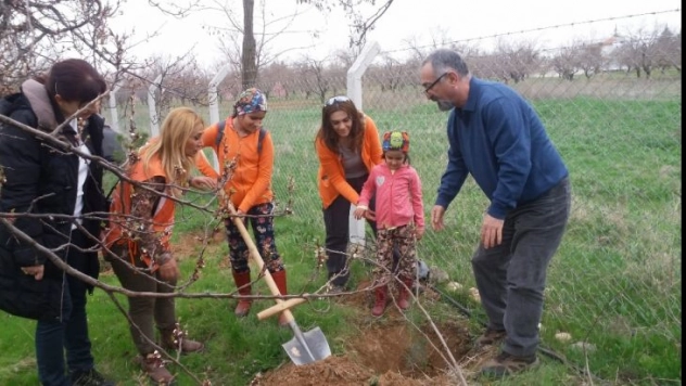Orman Haftasında Fidan Diktiler