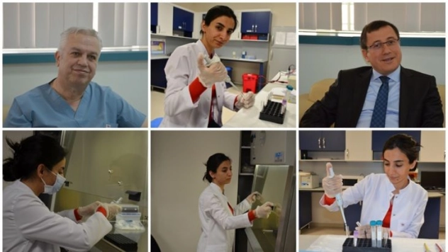 Diğer canlılardan karaciğer nakli için düğmeye basılıyor