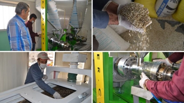 Yüksekova'da aspir yağı üretimi