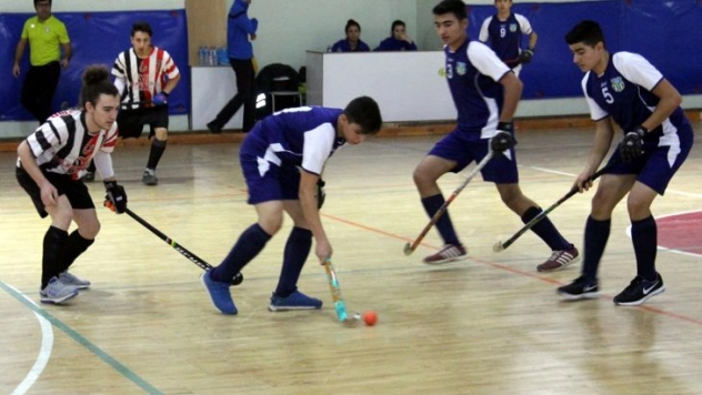 Hokey: Erkekler Salon 2. Lig