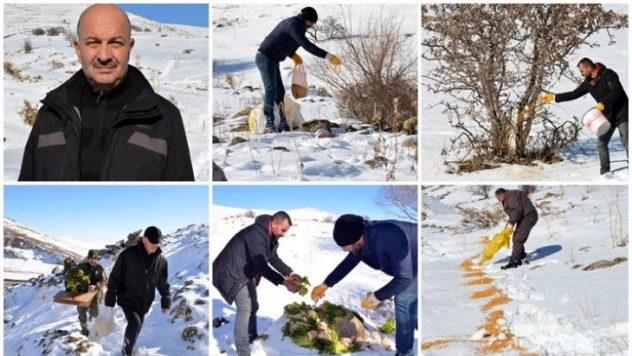 Yaban hayvanları için doğaya yem bırakıldı