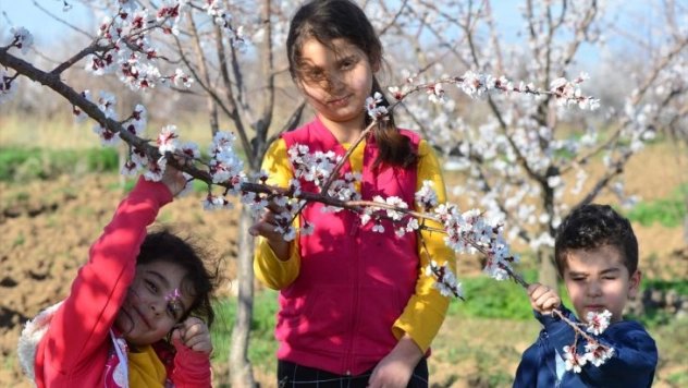 Dünya kayısı başkenti beyaza büründü