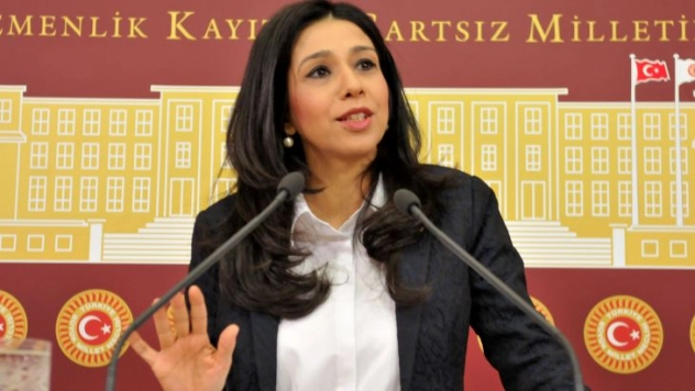 Yedekci'den Sokak Hayvanlarına Vahşeti Bitirecek Teklif 