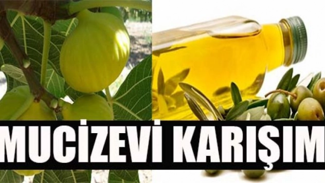 Zeytinyağı ve incirle kanserden korunun