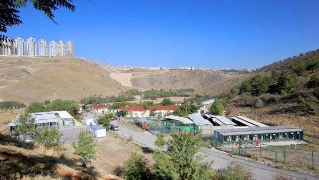 Yeni Yılın İlk Ayında 171 Sokak Hayvanına Sıcak Yuva