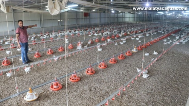 Elektrik kesintileri binlerce tavuğun telef olmasına neden oldu