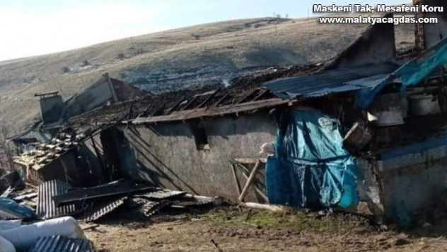 Yangın 12 hayvanı telef etti