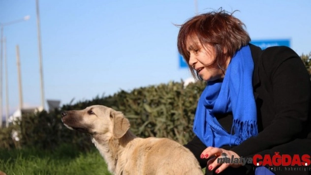 Emeklilik hayatını öğrencilerine ve sokak hayvanlarına adadı