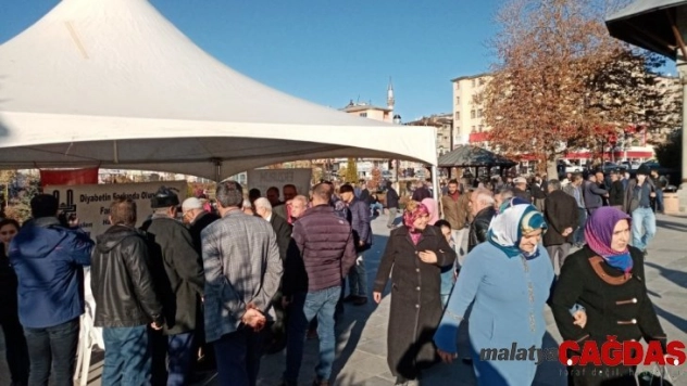 Engelliler Meclisinden 'Diyabet' etkinliği