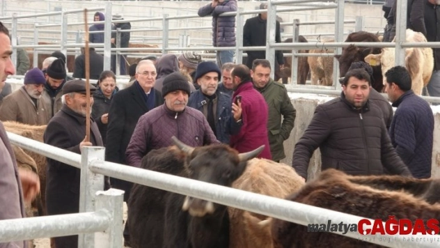 Ensar Ögüt, hayvan pazarında besicilerle bir araya geldi