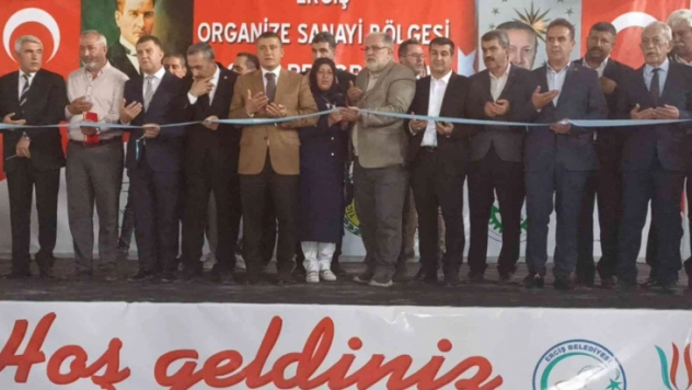 Erciş Organize Sanayi Bölgesi'nin açılışı yapıldı
