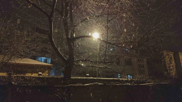 Erciş'te kar yağışı