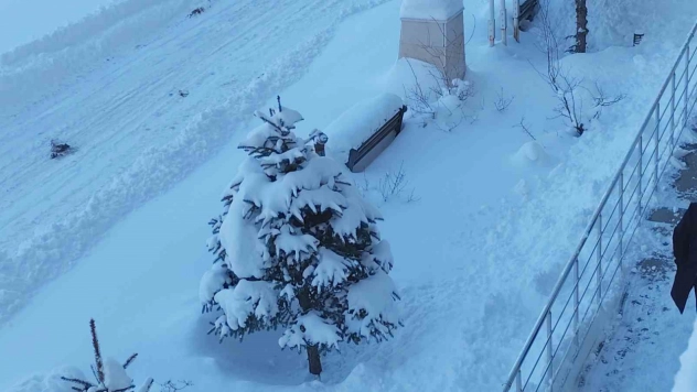 Erciş'te kar yağışı