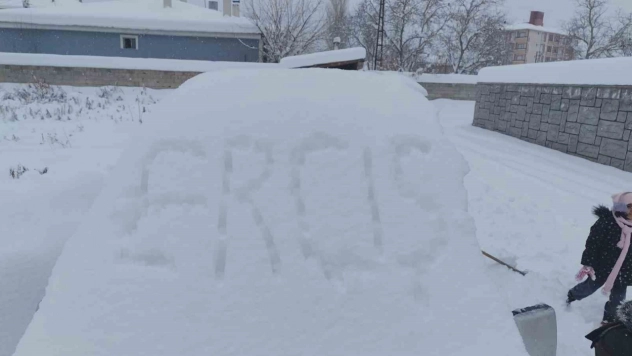 Erciş'te yoğun kar yağışı hayatı felç etti