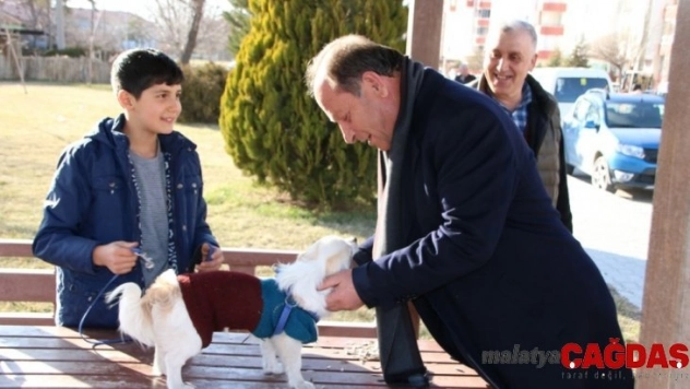 Ereğli Belediyesi sokak hayvanlarına kucak açıyor