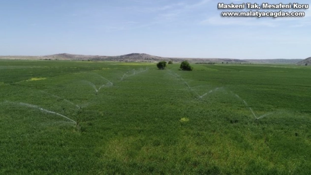 Ergani Barajı sulamasında 18 bin 660 dekar alan sulamaya açıldı