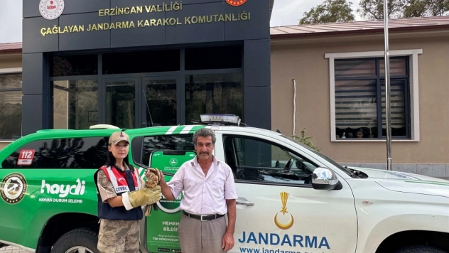 Erzincan'da bulunan şahin yavrusu koruma altına alındı