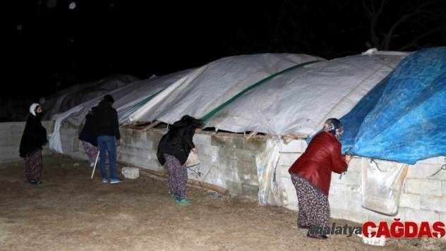 Erzincan'da fırtına çatıları uçurdu, ağaçları kökünden söktü