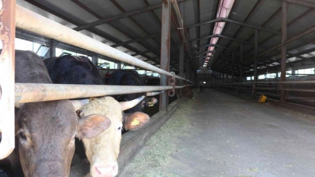 Erzurum'a 42 milyon hibe desteği