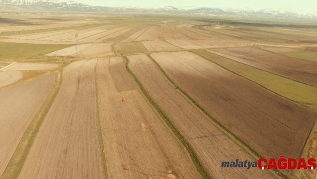 Erzurum, Ağrı ve Erzincan'da toplulaştırma çalışmaları devam ediyor