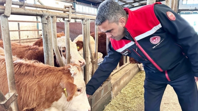 Erzurum'da 2025 yılında üreticiye güçlü destek