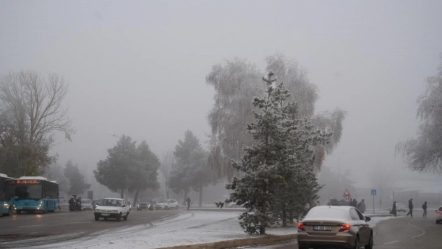 Erzurum'da araç sayısı 152 bin 682 oldu