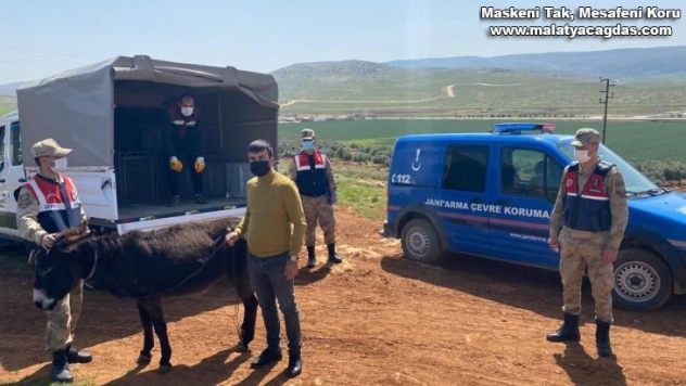 Eşeğini sopayla döven şahsa bin 33 lira para cezası