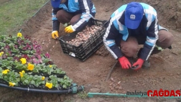 Eskihisara dekoratif peyzaj düzenlemesi