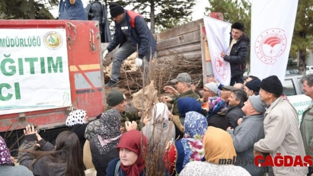 Eskişehir Orman Bölge Müdürlüğü 100 bin ceviz fidanı dağıttı