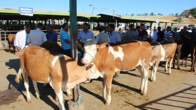 Et üreticilerinden ithal et ve hayvan tepkisi