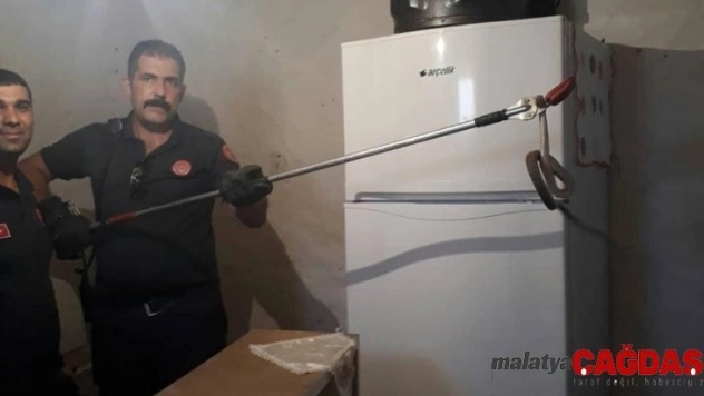 Eve giren yılanı itfaiye ekipleri çıkardı