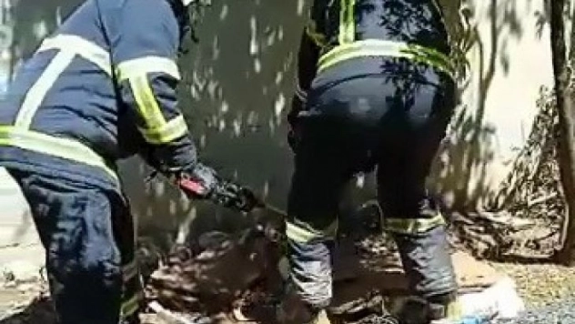 Evin bahçesindeki 2 metre uzunluğundaki yılan yakalanarak doğaya bırakıldı
