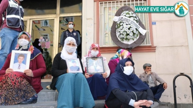 Evladı dağa kaçırılan babadan Kılıçdaroğlu'na çağrı: 'Samimiysen, gel Kandil'e yürüyelim'