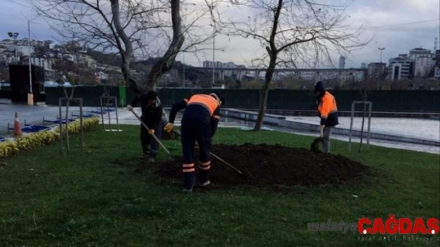 Eyüpsultan Belediyesi daha yeşil bir ilçe için çalışmalarını sürdürüyor