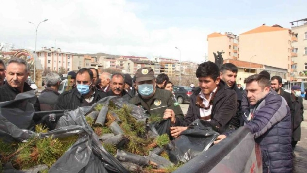 Fidan dağıtımında izdiham yaşandı