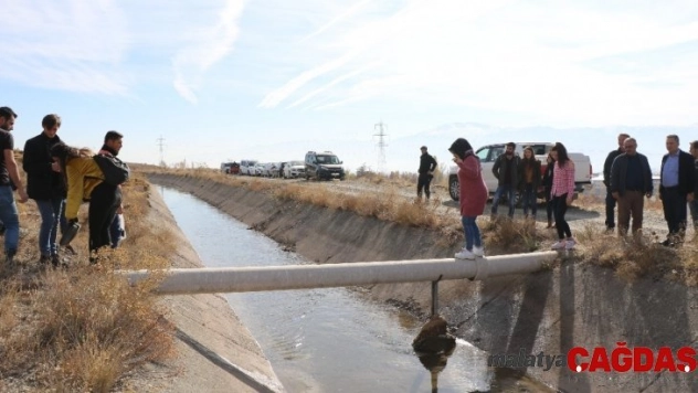 Fidan dikim alanına gidebilmek için zorlukları aştılar