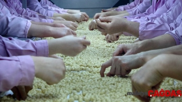 Fındık ihracatçılarının hedefi: Çin