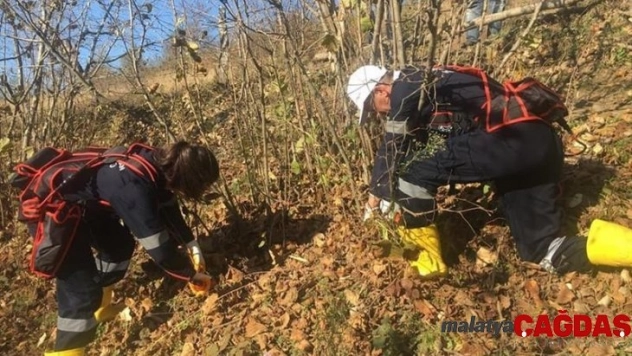 Fındık timleri 20 günde 400 örnek bahçe oluşturdu