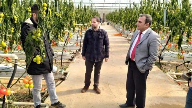 Fırtınada 47 dekar alanda bulunan sera zarar gördü