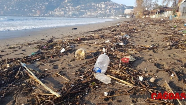 Fırtınadan kışlık yakacaklarını çıkardılar