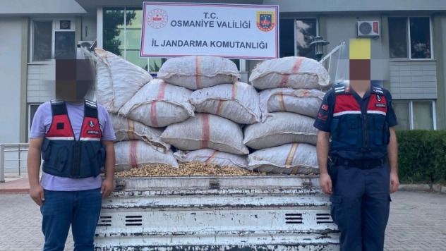 Fıstık hırsızları jandarmadan kaçamadı